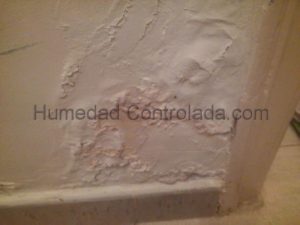 quitar la humedad de las paredes, la humedad de capilaridad