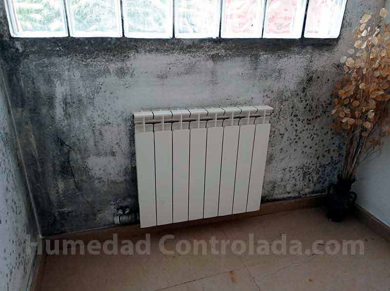 humedad de condensación y mohos en paredes