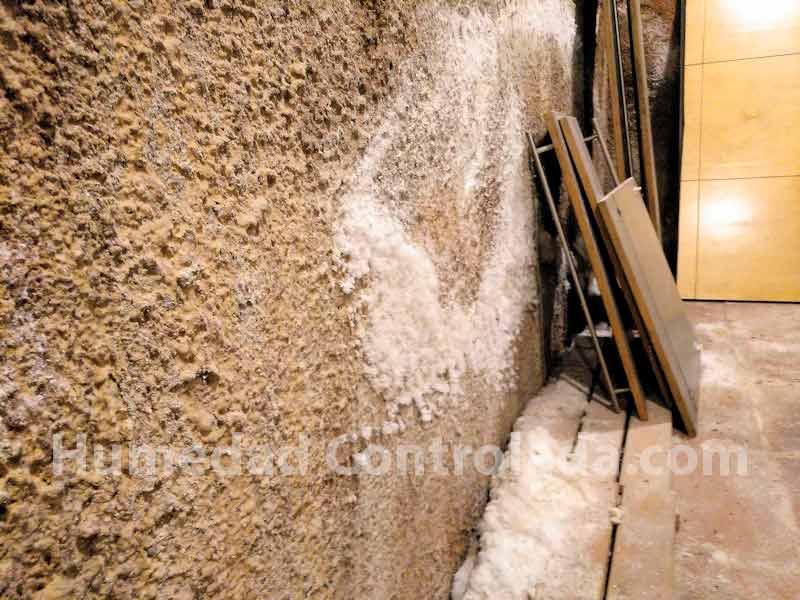 Las sales provocan degradación en los muros con humedad